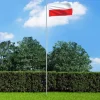 vidaXL polsk flag 90x150 cm - Flag & vimpler