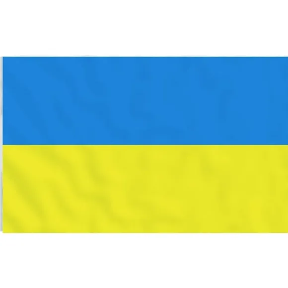 vidaXL Ukraine flag og flagstang 5,55 m aluminium