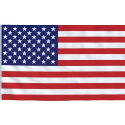 vidaXL USA flag og flagstang 5,55 m aluminium