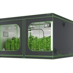 10x10 hydroponisk voksetelt, 120'' x 120'' x 80'', højreflekterende 600D Mylar med vindue, værktøjstaske og gulvbakke til indendørs planter.