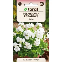 Zonalgeranium frø hvid - Pragtfuld blomstring til krukker og bede